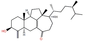 Swinhoeisterol E